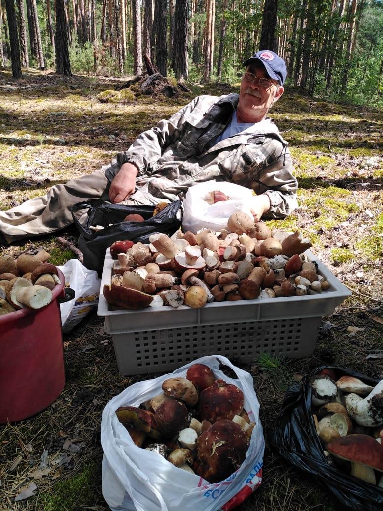 Фото «Столько грибов мы ещё не собирали»: новосибирцы хвастаются урожаем дикоросов 4